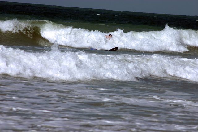 IMG_2739.jpg