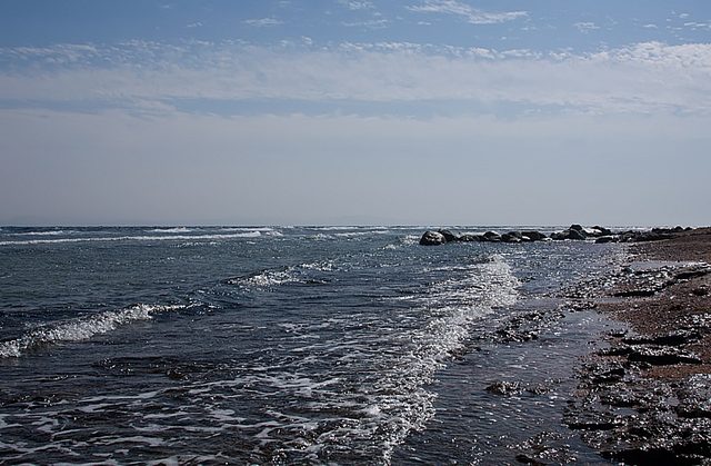 IMG_7207 copy.jpg