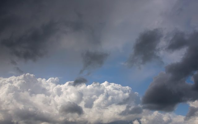 _MG_2012.jpg