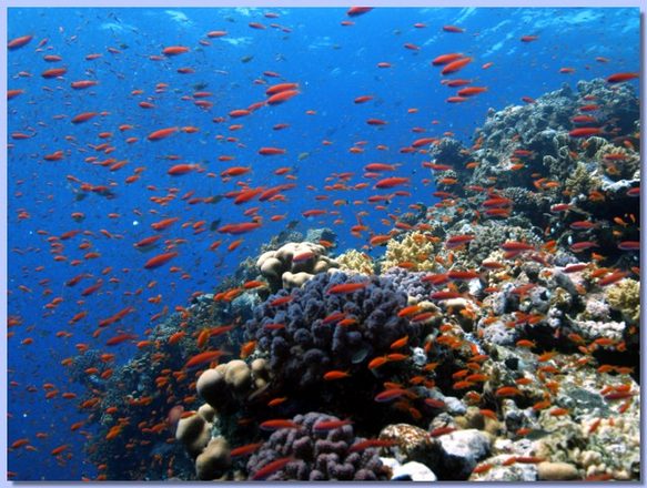 120.jpg