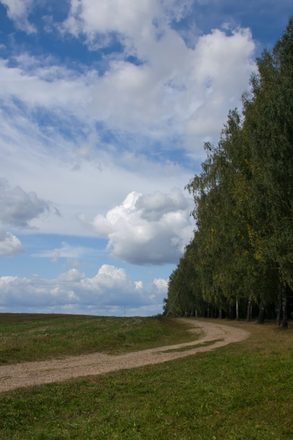 _MG_3016.JPG