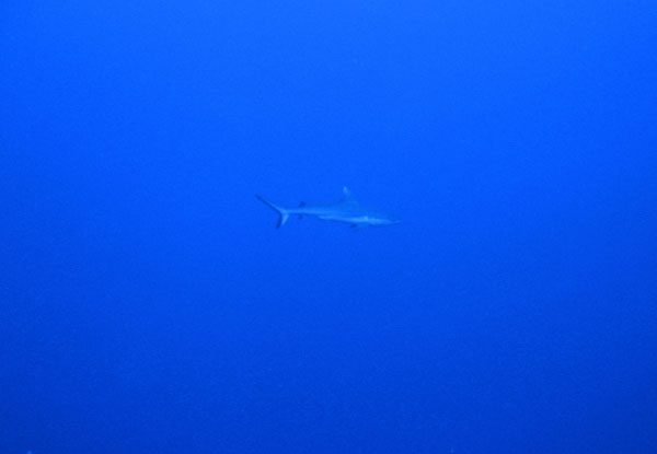 IMG_1188