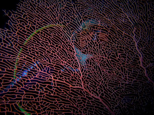 CRW_0434.jpg
