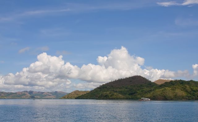 _MG_5246.jpg