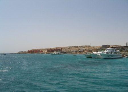 IMG_0455