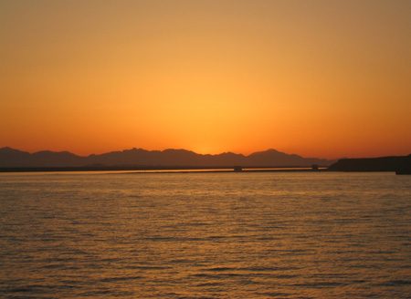 IMG_6549