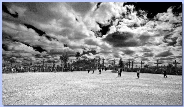 _MG_1810 copy.jpg