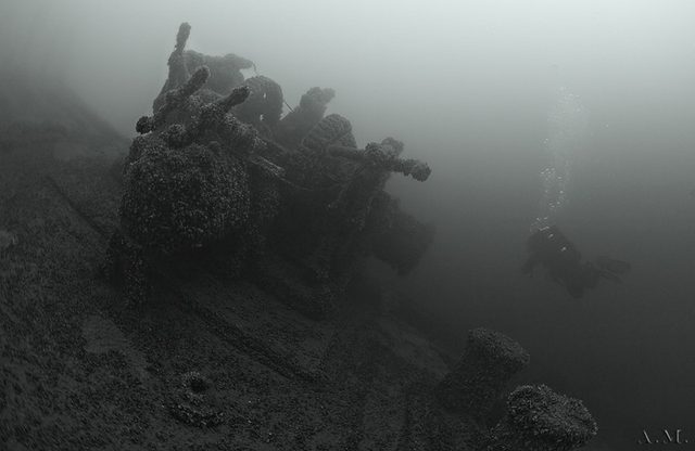 XH3N2561.jpg