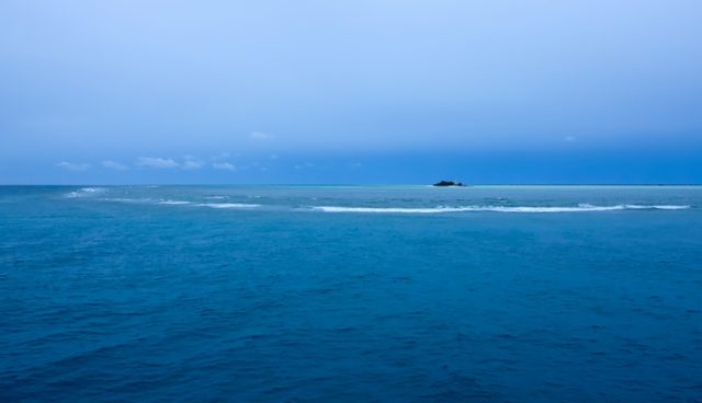 _MG_4918.jpg