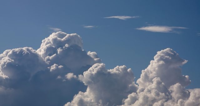 _MG_2020.jpg