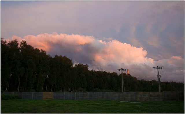 _MG_5511.jpg