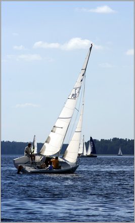 _MG_5645.JPG