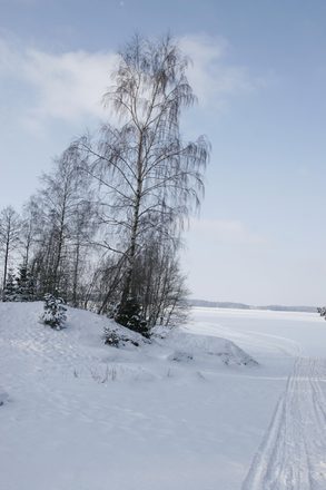 _MG_2053.JPG
