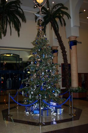 IMG_2891.jpg