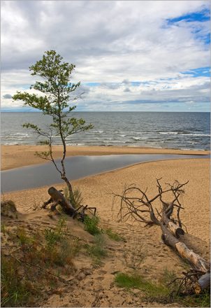 IMG_6327.jpg