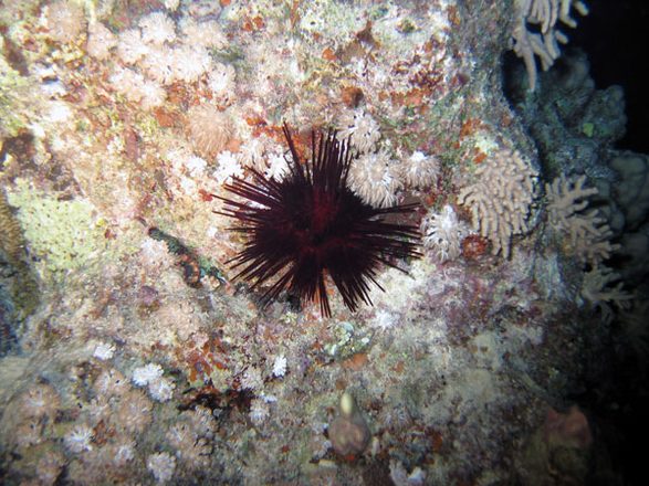 IMG_0857