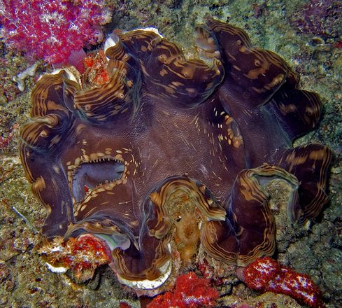 CRW_5045.jpg