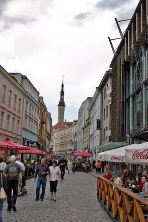 IMG_2661