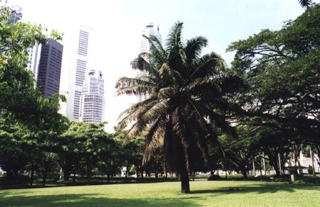 06 - Explanade Park
