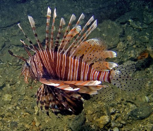 CRW_4829.jpg
