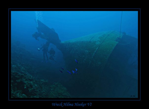 008 CRW_7498.jpg