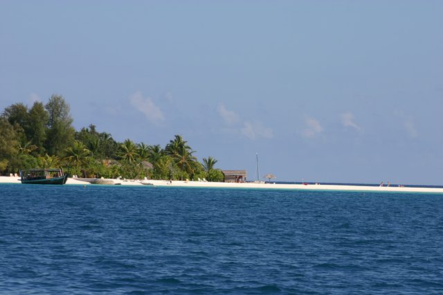IMG_3395.JPG
