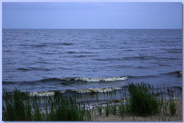 IMG_2284.JPG