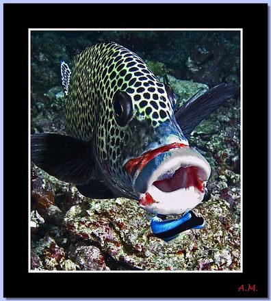 074.jpg