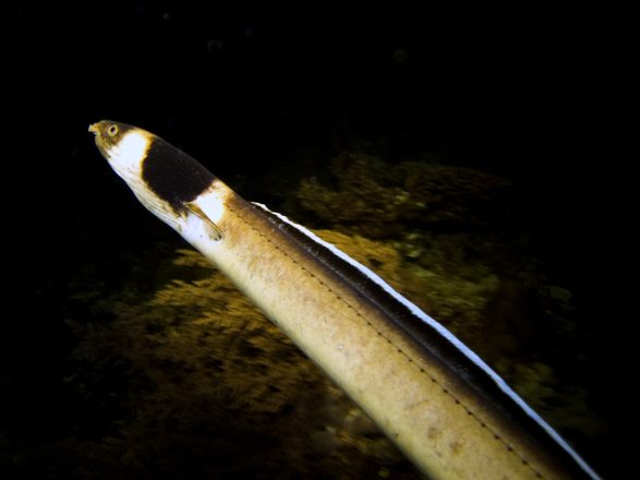 CRW_1305.jpg
