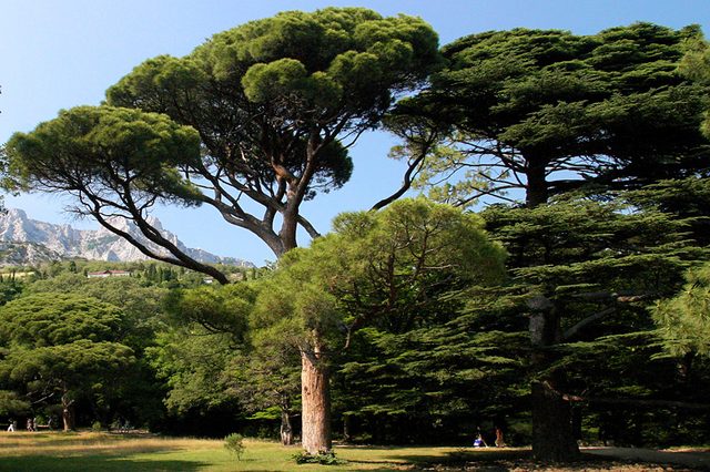 042 Voroncove palace park 1.jpg