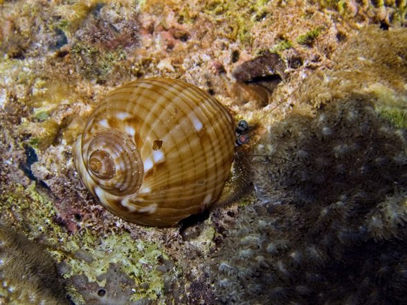 CRW_1437.jpg