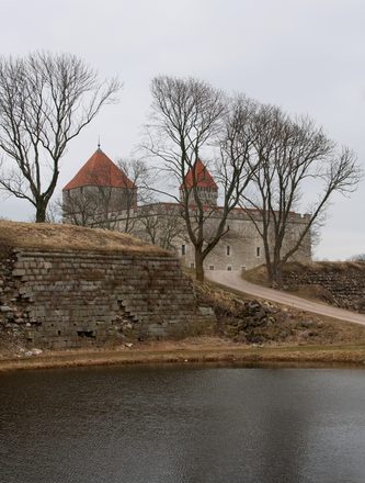_MG_3108.jpg