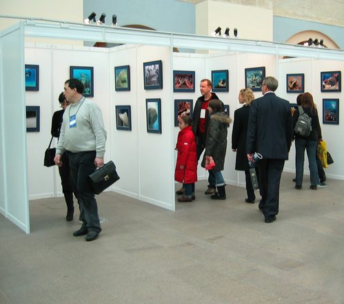 IMG_5637.jpg