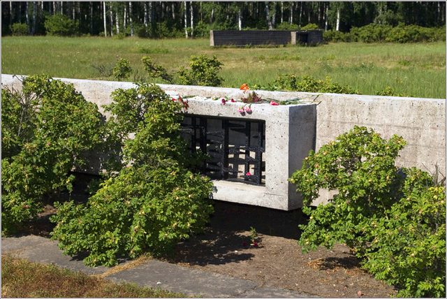 _MG_0087.jpg