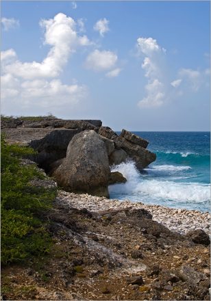 _MG_8688.jpg