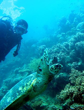 Denis & turtle