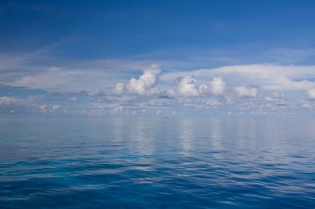 _MG_4975.jpg