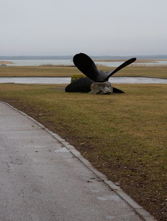 _MG_2970.jpg