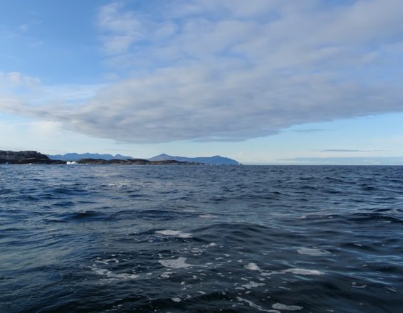 P9300045.JPG