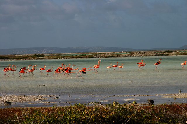 IMG_9419.jpg
