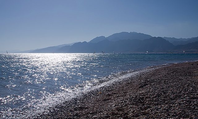 IMG_7298 copy.jpg