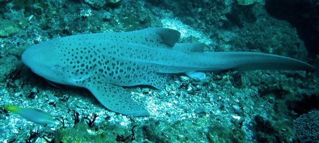 CRW_4459.jpg