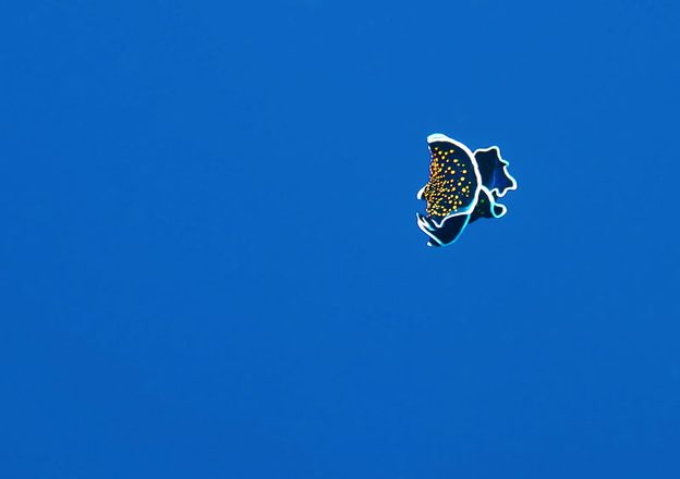 139 IMG_8184