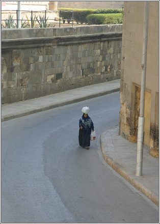 355.JPG