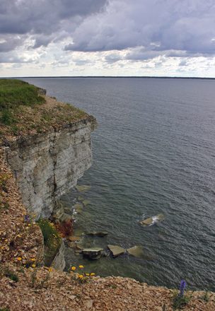 IMG_2706