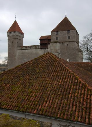 _MG_3136.jpg