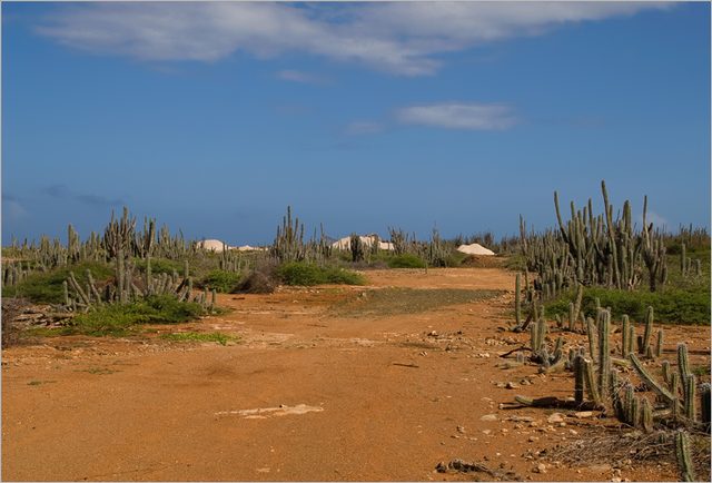 _MG_8862.jpg