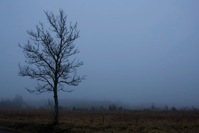 _MG_3007.jpg
