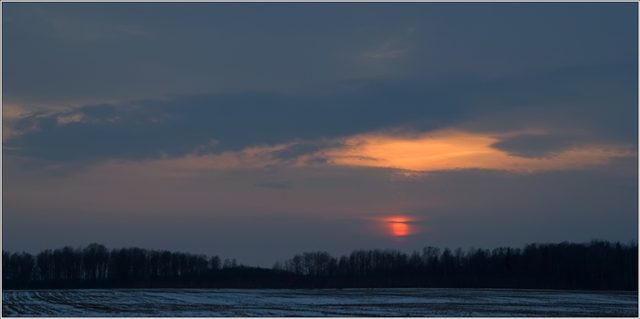 _MG_0502.jpg