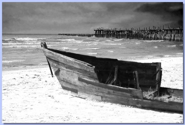 _MG_1941 copy.jpg